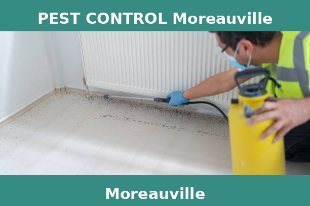 PEST CONTROL Moreauville